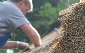 professional Allington thatchers